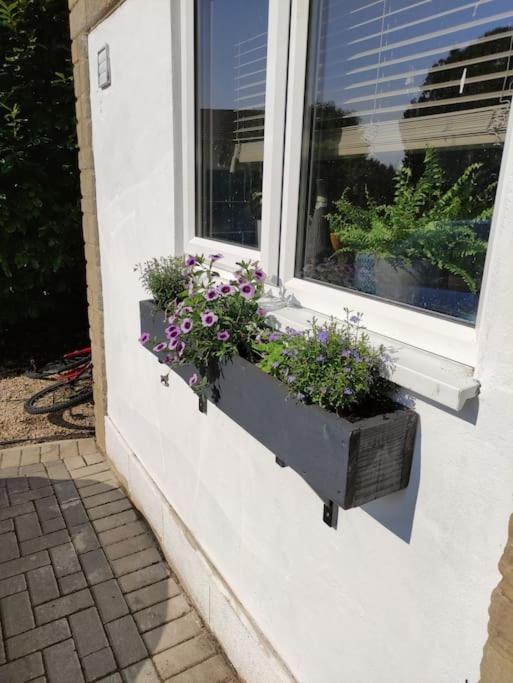 The Old Bar In Wiltshire - 1 Bedroom Guesthouse Chippenham  Bagian luar foto